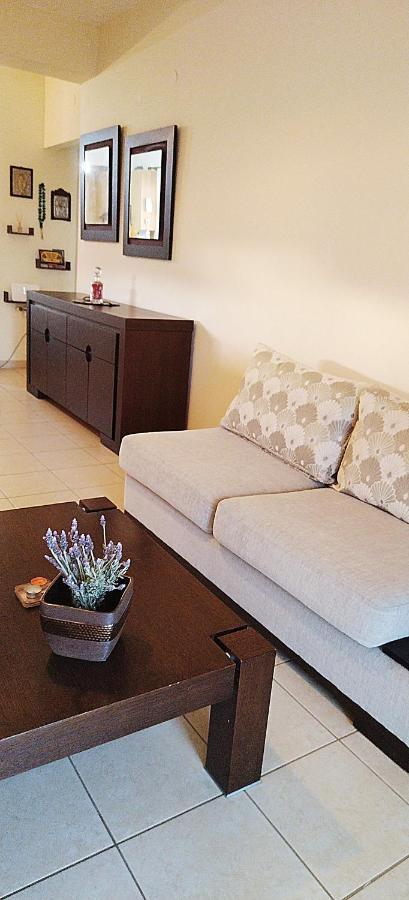 Holiday & Business Furnished Apartments Mytikas  Extérieur photo
